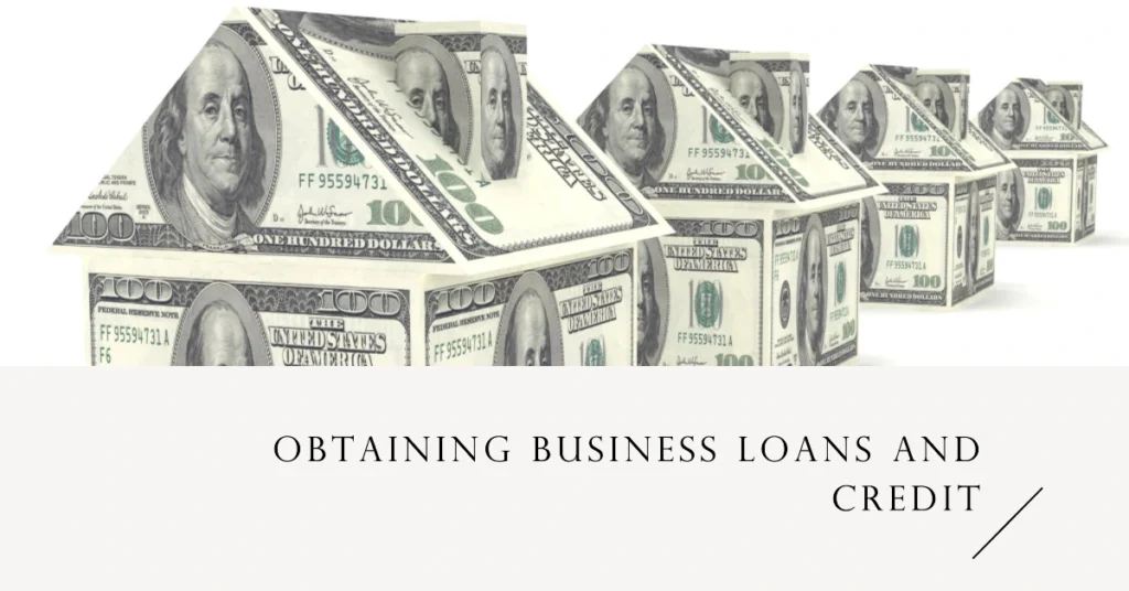 Obtaining Business Loans and Credit
